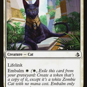 The List - AKH-27 - Sacred Cat - Common - W - Non-foil (Front)