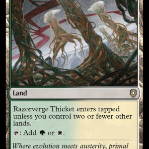 Bloomburrow Commander - 325 - Razorverge Thicket - Rare - C - Non-foil (Front)