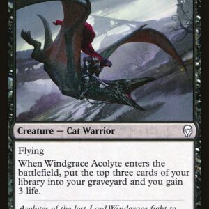 The List - DOM-112 - Windgrace Acolyte - Common - B - Non-foil (Front)