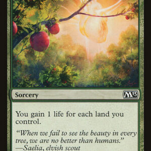 Magic 2013 - 163 - Bountiful Harvest - Common - G - Non-foil (Front)
