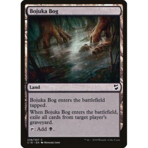 Commander 2018 - 238 - Bojuka Bog - Common - C - Non-foil (Front)