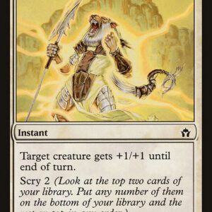 Fifth Dawn - 17 - Stand Firm - Common - W - Non-foil (Front)