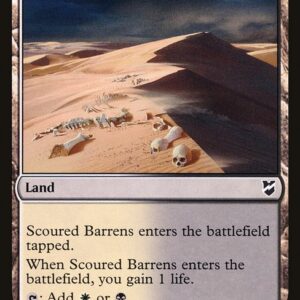 Commander 2018 - 276 - Scoured Barrens - Common - C - Non-foil (Front)