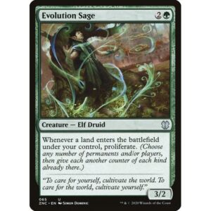 Zendikar Rising Commander - 65 - Evolution Sage - Uncommon - G - Non-foil (Front)