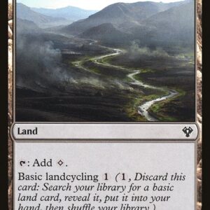 Commander 2020 - 255 - Ash Barrens - Common - C - Non-foil (Front)