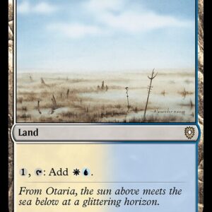 Bloomburrow Commander - 332 - Skycloud Expanse - Rare - C - Non-foil (Front)