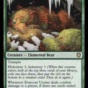 Bloomburrow Commander - 30 - Evercoat Ursine - Rare - G - Non-foil (Front)