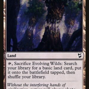 Commander 2018 - 245 - Evolving Wilds - Common - C - Non-foil (Front)