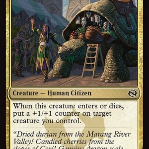 Tarkir: Dragonstorm - 217 - Reputable Merchant - Common - Multi - Foil (Front)