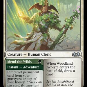 Wilds of Eldraine - 241 - Woodland Acolyte // Mend the Wilds - Uncommon - W - Foil (Front)