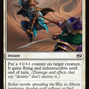 Tarkir: Dragonstorm - 14 - Lightfoot Technique - Common - W - Foil (Front)