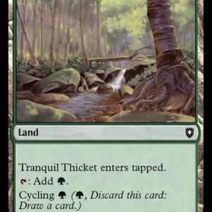 Bloomburrow Commander - 350 - Tranquil Thicket - Common - C - Non-foil (Front)