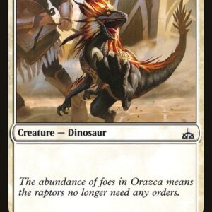 The List - RIX-19 - Raptor Companion - Common - W - Non-foil (Front)