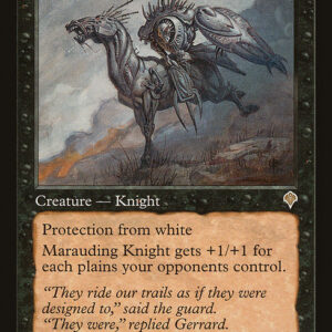 Invasion - 110 - Marauding Knight - Rare - B - Non-foil (Front)