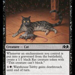 Wilds of Eldraine - 117 - Warehouse Tabby - Common - B - Foil (Front)