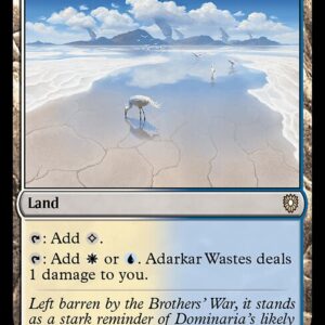 Bloomburrow Commander - 291 - Adarkar Wastes - Rare - C - Non-foil (Front)