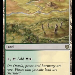 Bloomburrow Commander - 334 - Sungrass Prairie - Rare - C - Non-foil (Front)