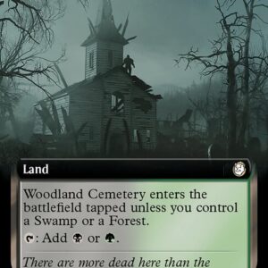 Fallout - 528 - Woodland Cemetery - Rare - C - Non-foil (Front)