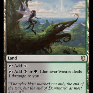 Bloomburrow Commander - 315 - Llanowar Wastes - Rare - C - Non-foil (Front)
