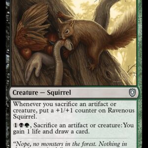 Bloomburrow Commander - 258 - Ravenous Squirrel - Uncommon - BG - Non-foil (Front)