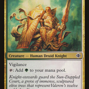 Shards of Alara - 198 - Steward of Valeron - Common - WG - Non-foil (Front)