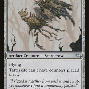 Shadowmoor - 264 - Tatterkite - Uncommon - C - Non-foil (Front)