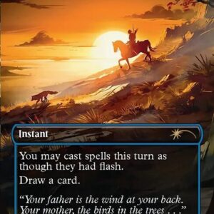 Secret Lair Drop - 2228 - Borne Upon a Wind - Rare - U - Non-foil - Promo (Front)