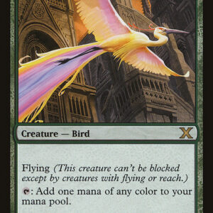 Tenth Edition - 252 - Birds of Paradise - Rare - G - Non-foil (Front)