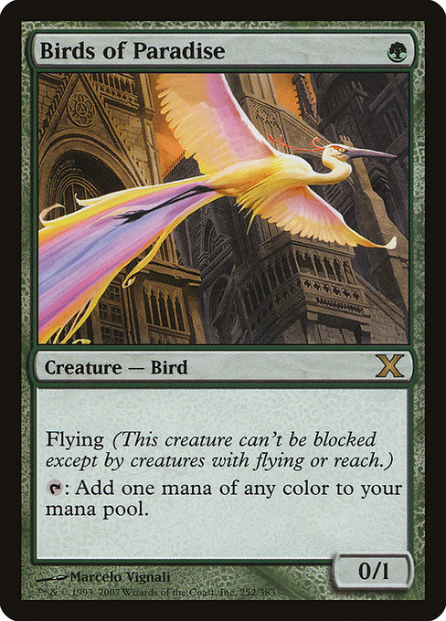 Tenth Edition - 252 - Birds of Paradise - Rare - G - Non-foil (Front)