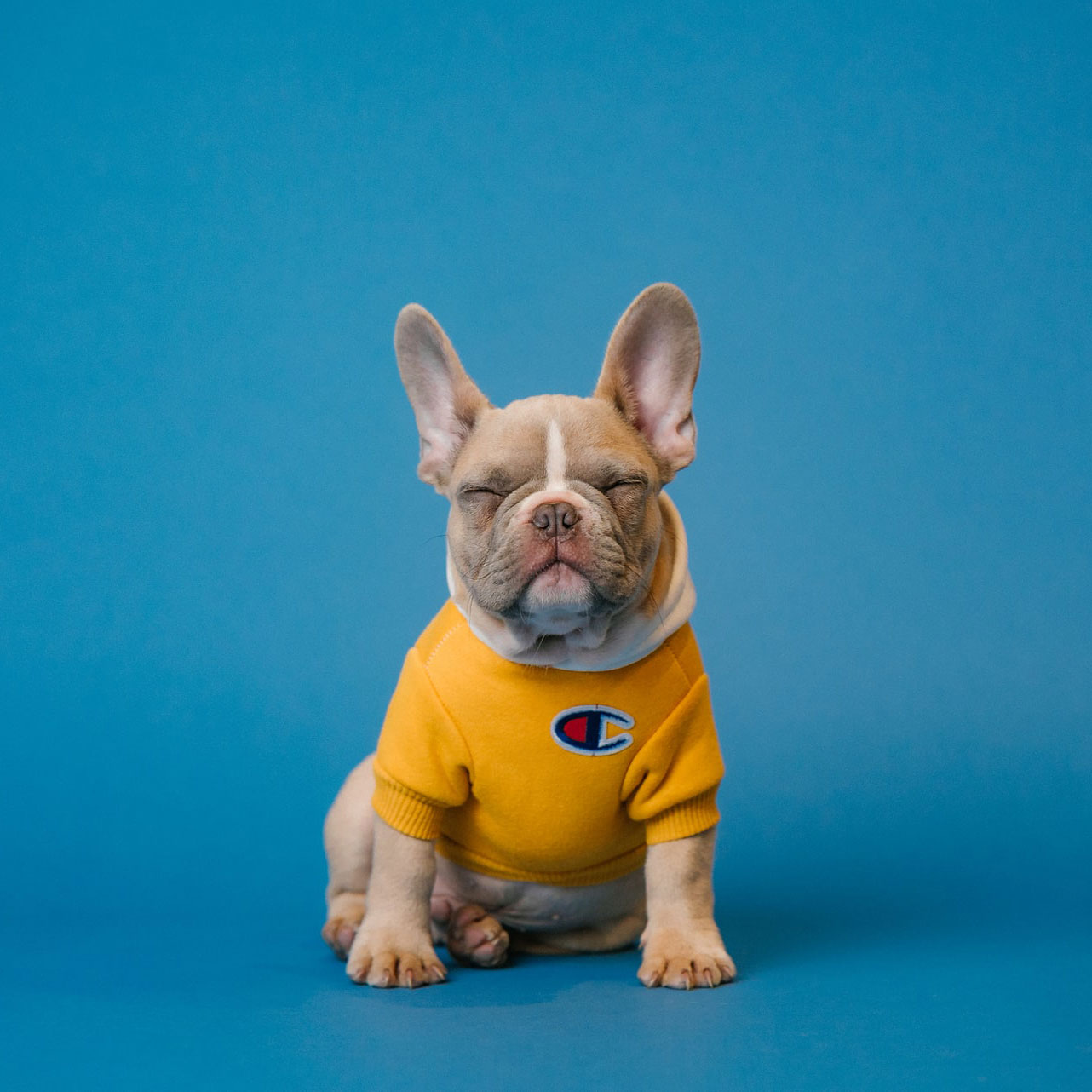 Marvel's Spider-Man - 13 - Silver Sable, Mercenary Leader - Uncommon - W - Non-foil