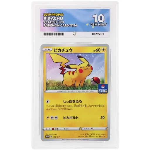 ACE 10 Gem Mint - 2019 Pokemon Promo Pikachu #024/S-P
