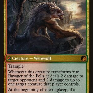 From the Vault: Transform - 11 - Huntmaster of the Fells // Ravager of the Fells - Mythic - C - Foil (Back)