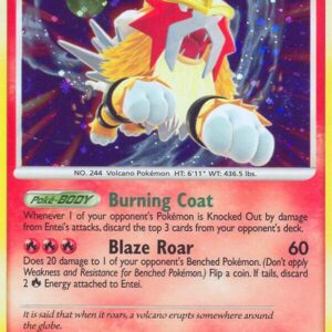 Secret Wonders - 4/132 - Entei