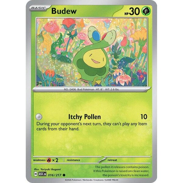 Ascended Heroes - 016/217 - Budew