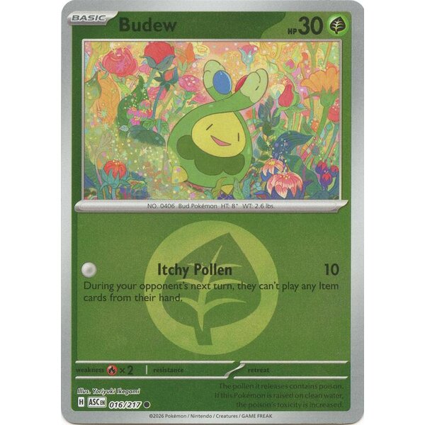 Ascended Heroes - 016/217 - Budew (Energy Symbol Pattern) - Reverse Holo