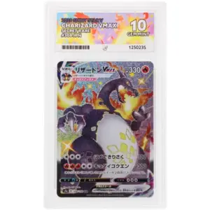 ACE 10 Gem Mint - 2020 Pokemon Shiny Star V Charizard Vmax #308/190