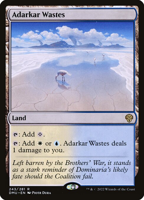 Dominaria United - 243 - Adarkar Wastes - Rare - C - Non-foil