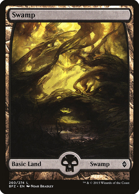 Battle for Zendikar - 260 - Swamp - Common - C - Non-foil