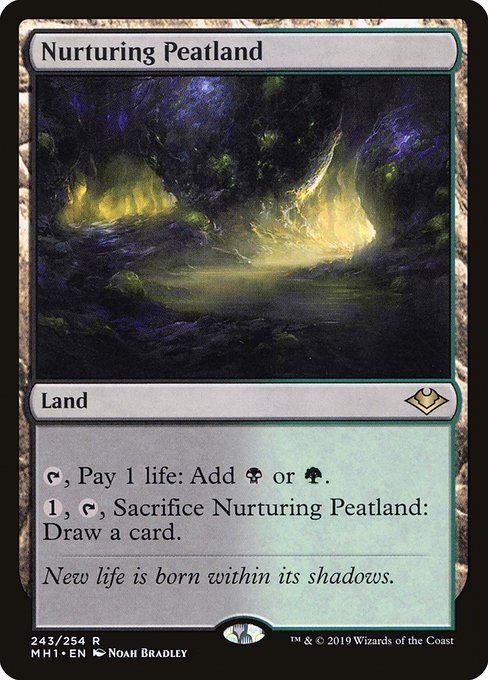 Modern Horizons - 243 - Nurturing Peatland - Rare - C - Non-foil