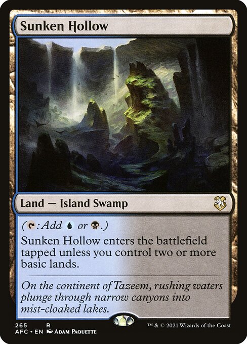 Forgotten Realms Commander - 265 - Sunken Hollow - Rare - C - Non-foil