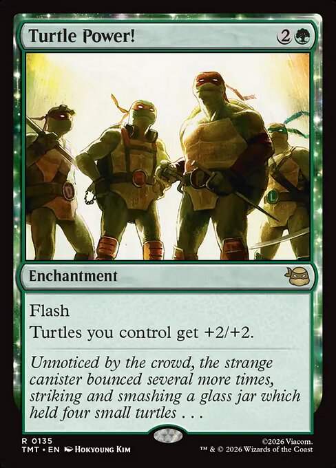Teenage Mutant Ninja Turtles - 135 - Turtle Power! - Rare - G - Non-foil