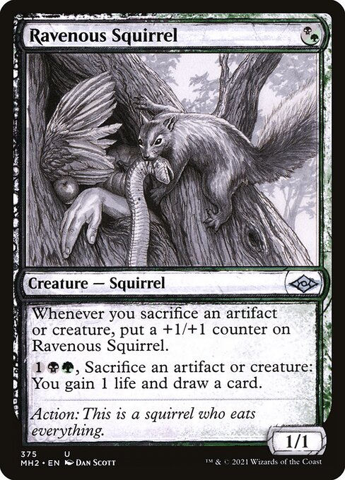Modern Horizons 2 - 375 - Ravenous Squirrel - Uncommon - BG - Non-foil