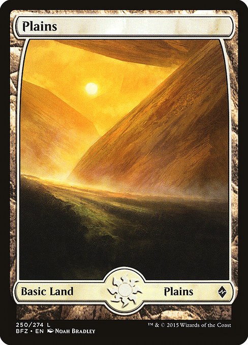 Battle for Zendikar - 250 - Plains - Common - C - Non-foil