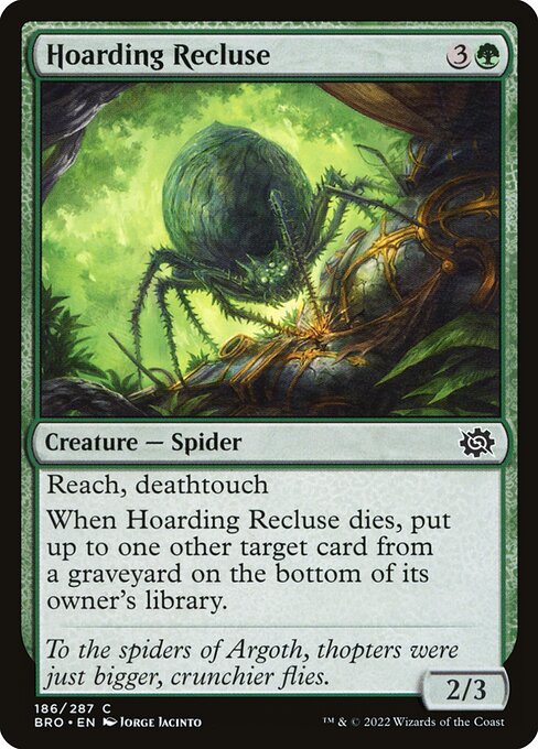 The Brothers' War - 186 - Hoarding Recluse - Common - G - Non-foil