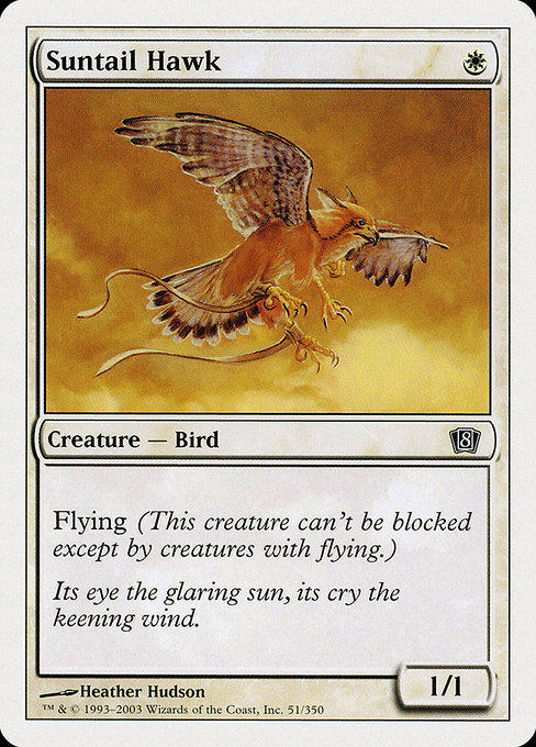 Eighth Edition - 51 - Suntail Hawk - Common - W - Non-foil