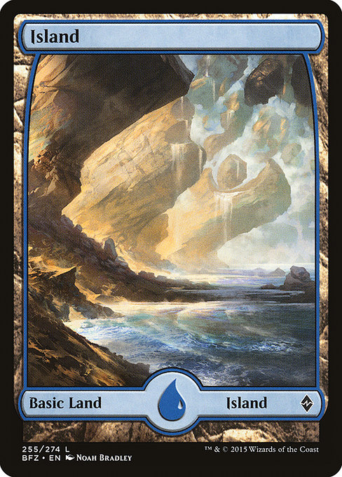 Battle for Zendikar - 255 - Island - Common - C - Non-foil