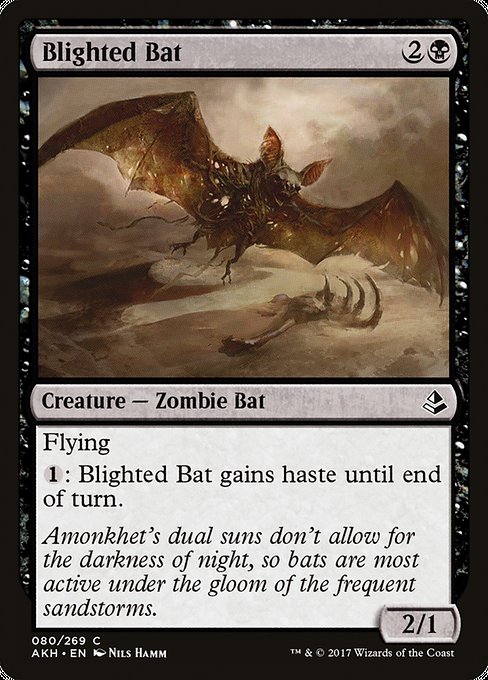 Amonkhet - 80 - Blighted Bat - Common - B - Non-foil