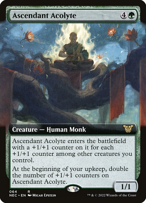 Neon Dynasty Commander - 64 - Ascendant Acolyte - Rare - G - Non-foil