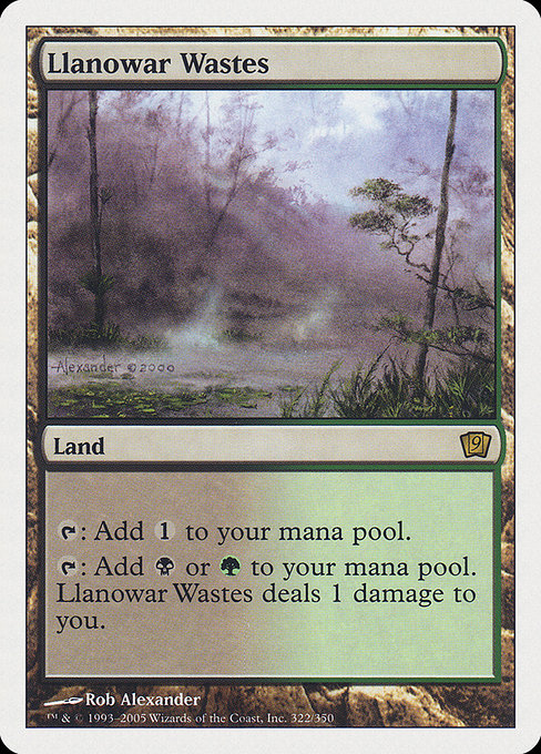 Ninth Edition - 322 - Llanowar Wastes - Rare - C - Non-foil