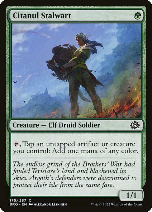 The Brothers' War - 175 - Citanul Stalwart - Common - G - Non-foil